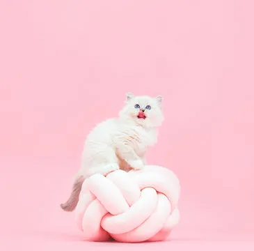 张伟